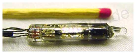 meine kleinste Röhre - eine EA76 von Valvo